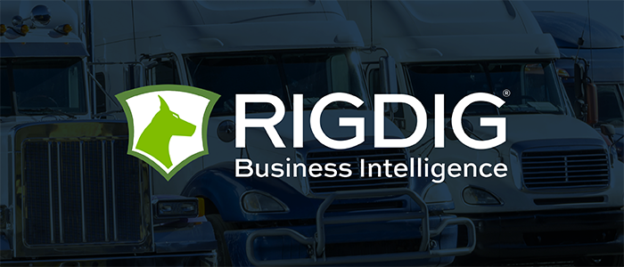 RigDigBI logo
