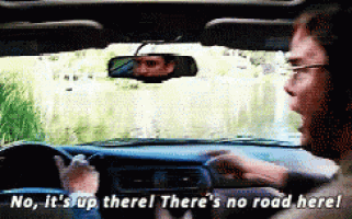 Man driving a car, shouting in the front seat; caption reads: "No, it's up there! There's no road here!"